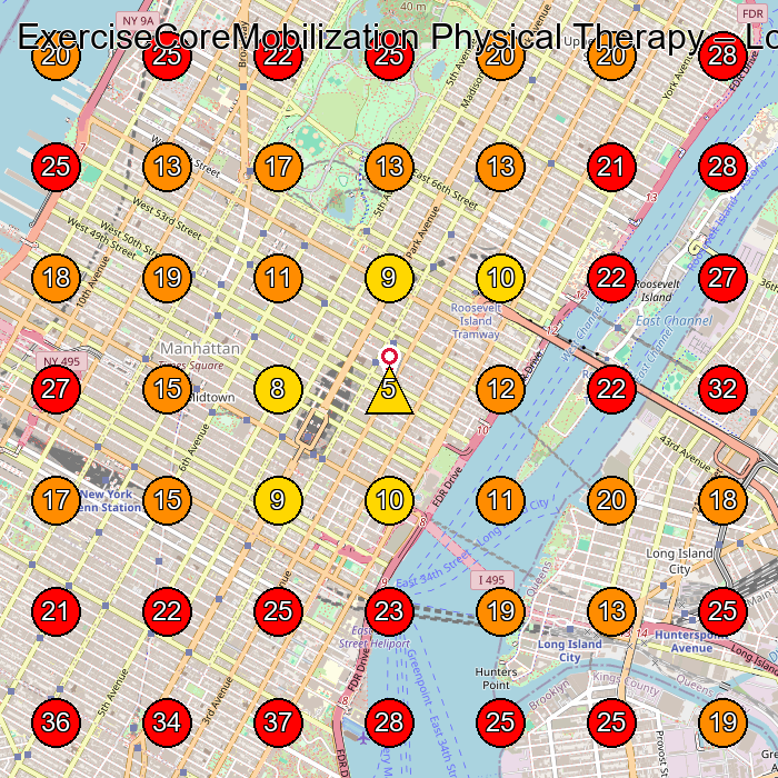 ExerciseCoreMobilization Physical Therapy GeoGrid visibility map for Physical Therapy Clinic in New York